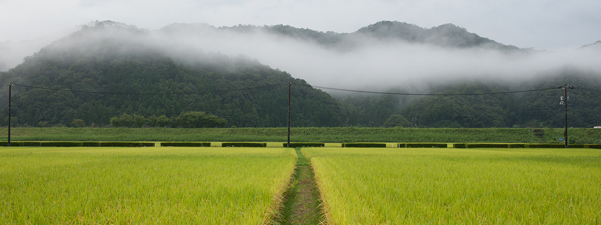 visual-japan-4