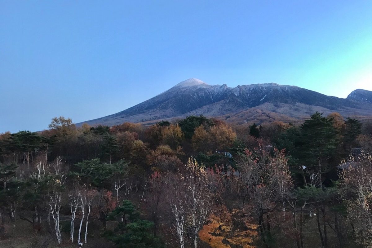 東北サムネイル 東北サムネイル